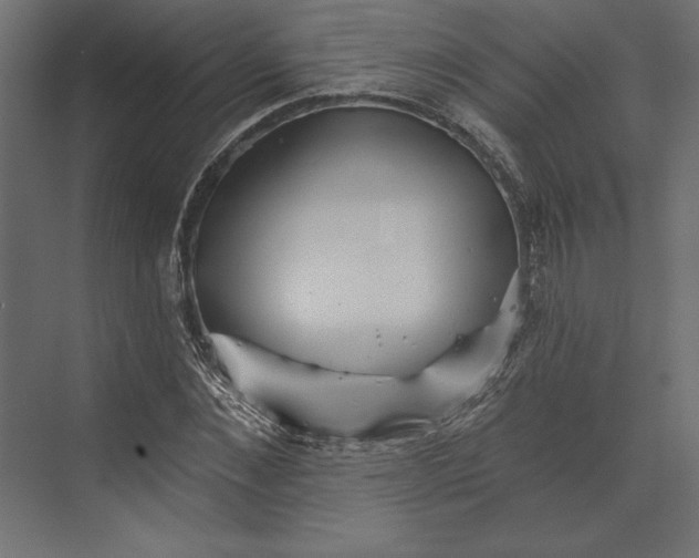 X0000073420876200608181118