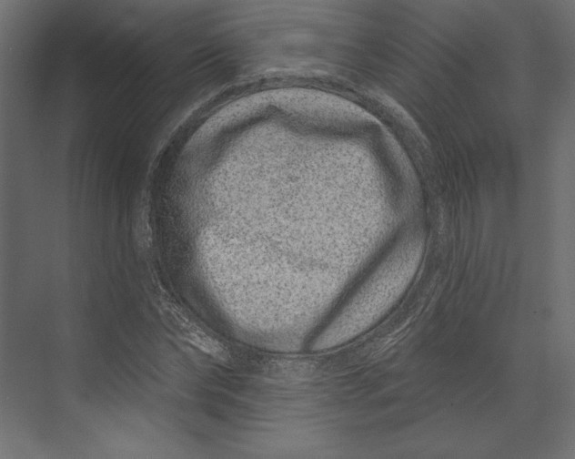 X0000073420878200608181118