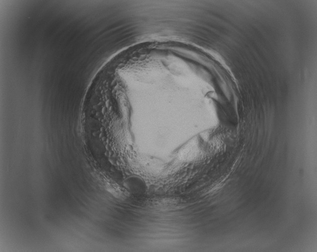 X0000073420879200608181118