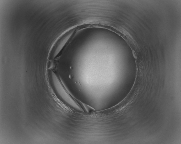 X0000073420880200608181118