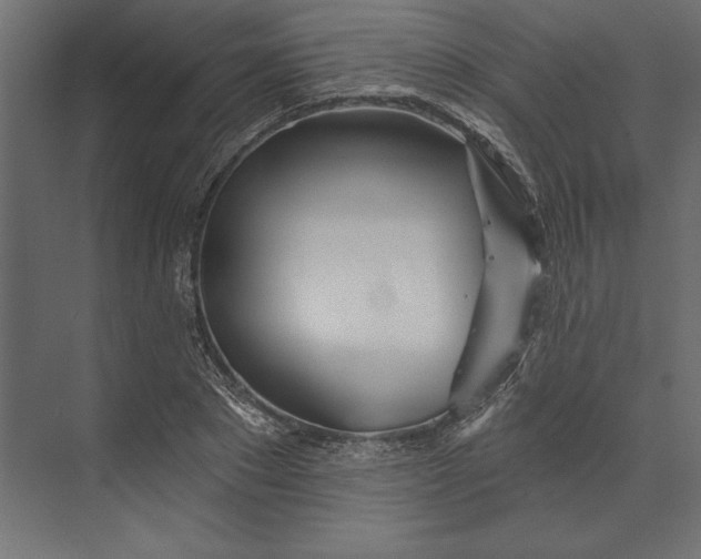 X0000073420881200608181118