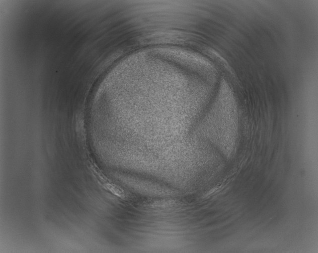 X0000073420882200608181118