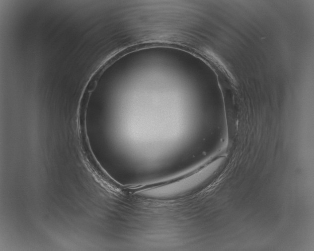 X0000073420884200608181118