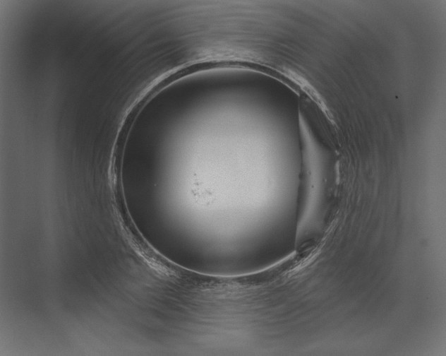 X0000073420885200608181118