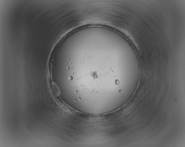 X0000073420887200608181118