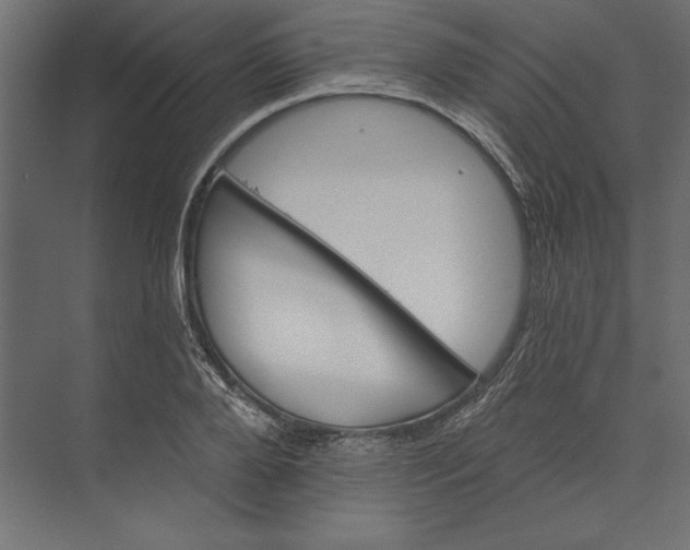 X0000073420888200608181118