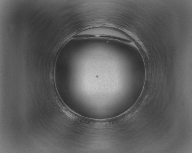 X0000073420889200608181118