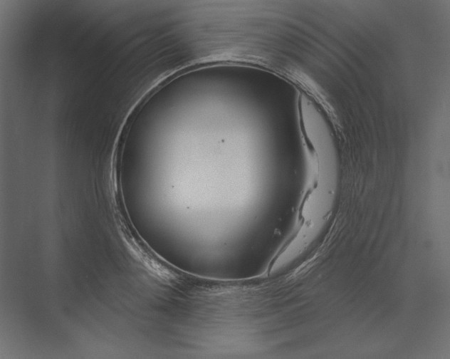 X0000073420892200608181118