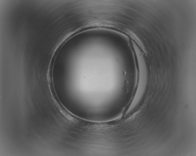 X0000073420893200608181118