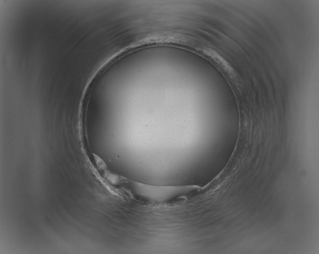 X0000073420894200608181118