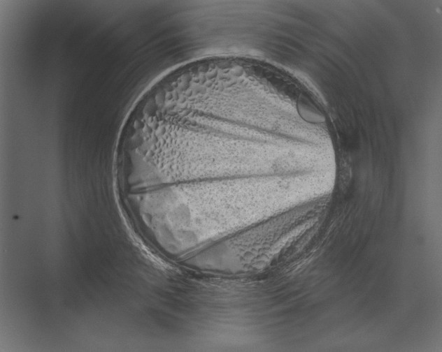 X0000073420895200608181118