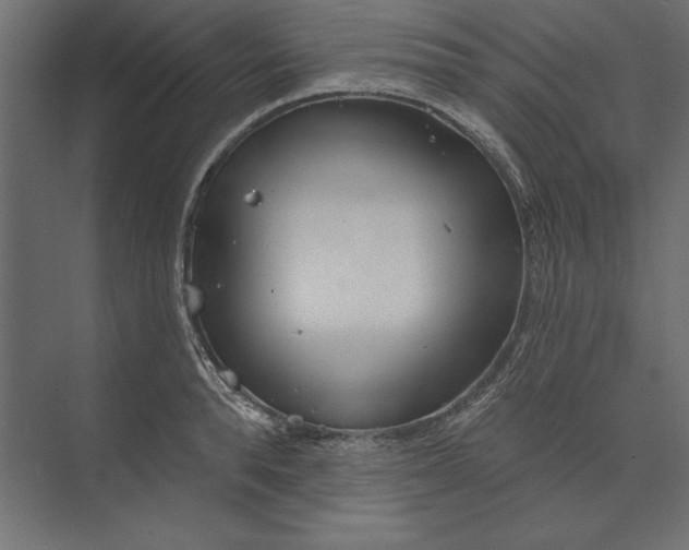 X0000073420896200608181118