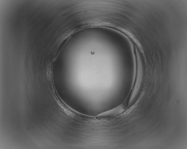 X0000073420897200608181118