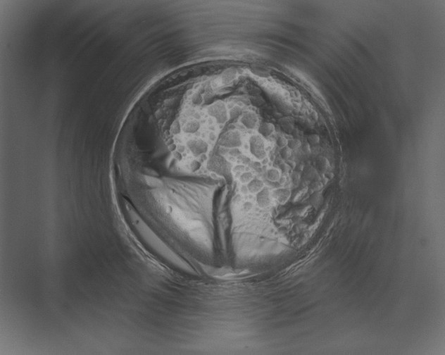 X0000073420899200608181118