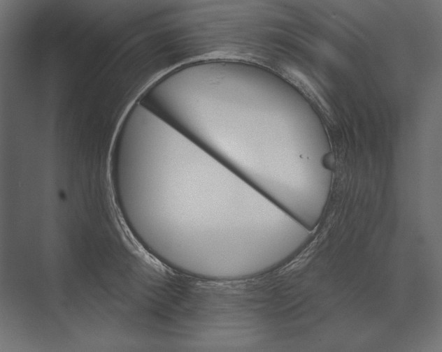 X0000073420900200608181118