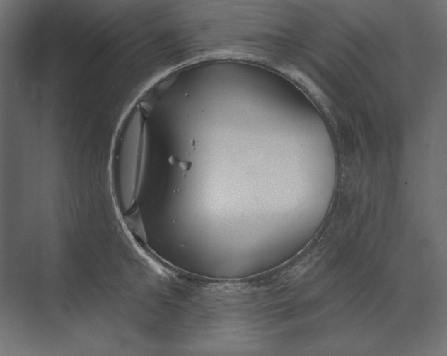 X0000073420902200608181118