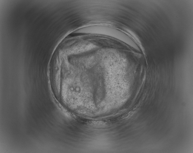 X0000073420907200608181118