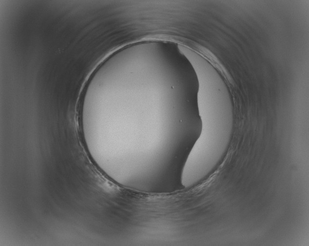 X0000073420908200608181118