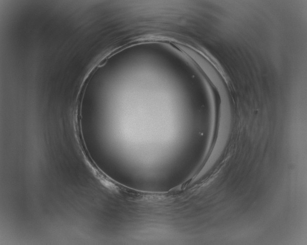 X0000073420909200608181118