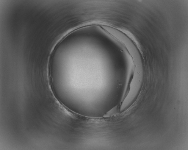 X0000073420910200608181118