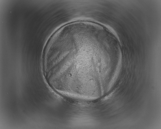 X0000073420911200608181118