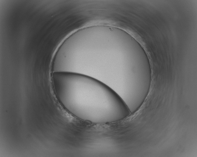 X0000073420912200608181118