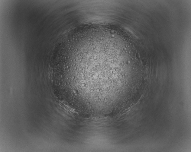 X0000073420917200608181117