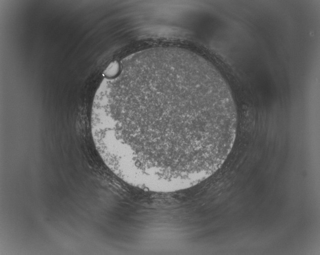 X0000073420918200608181117