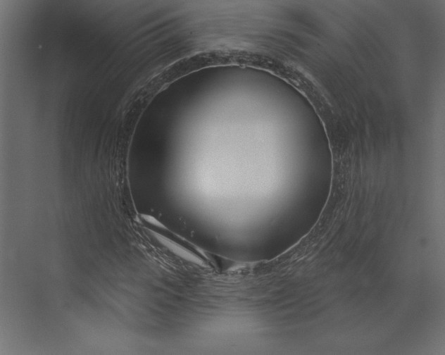 X0000073420919200608181117