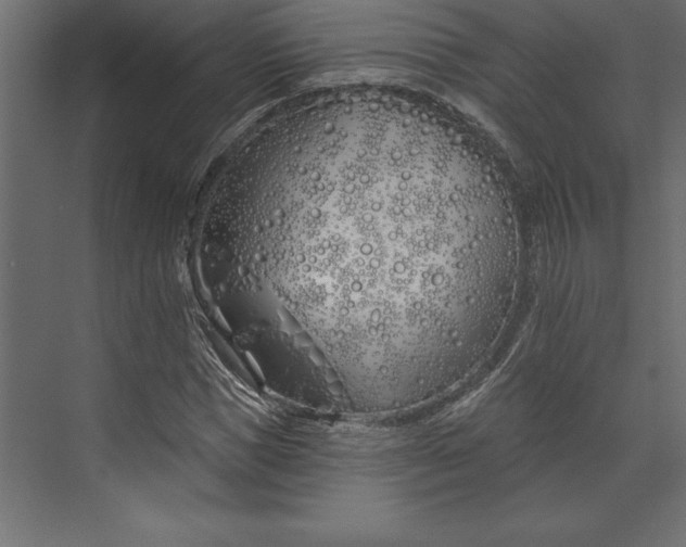 X0000073420921200608181117