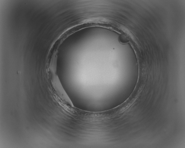 X0000073420923200608181117