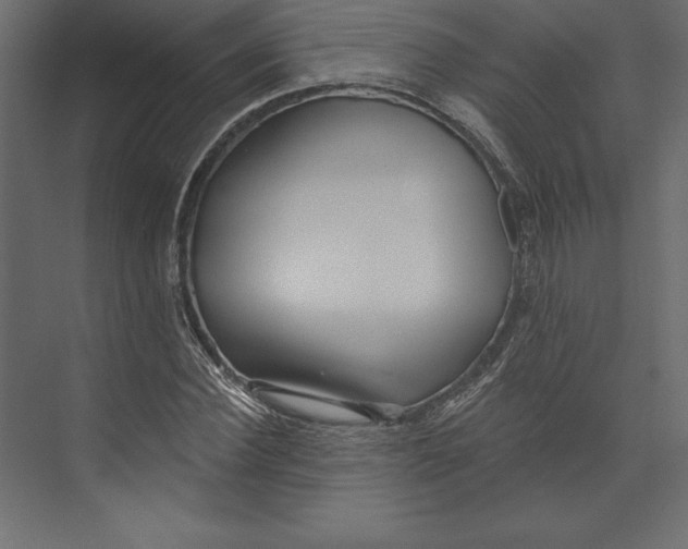 X0000073420924200608181117