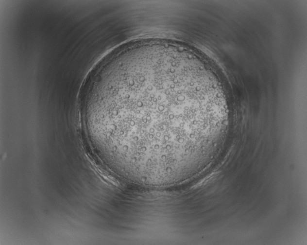 X0000073420925200608181117