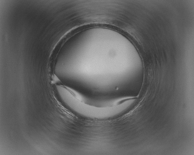 X0000073420926200608181117