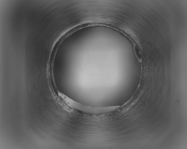 X0000073420928200608181117