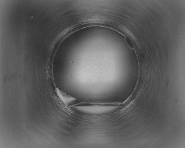 X0000073420930200608181117