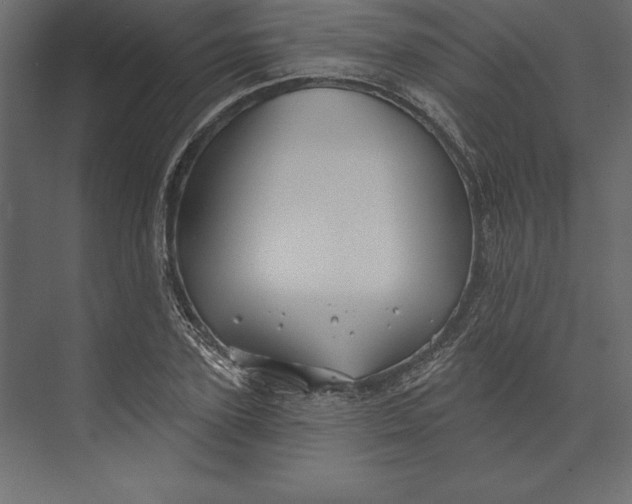 X0000073420931200608181117