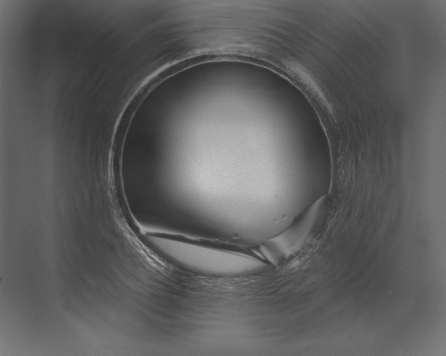 X0000073420932200608181117