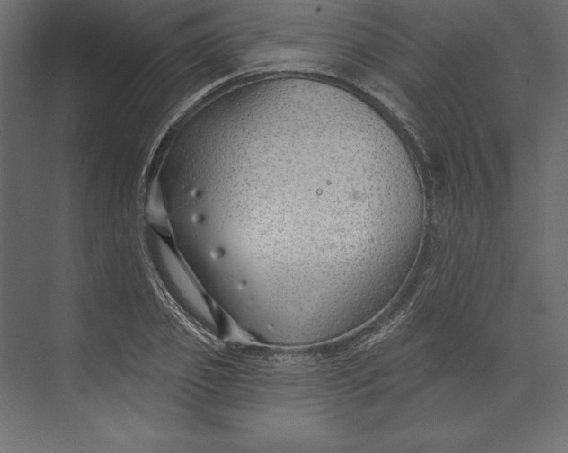 X0000073420933200608181117