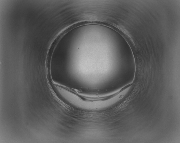 X0000073420935200608181117