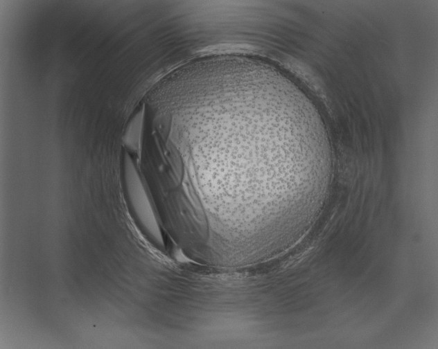 X0000073420937200608181117