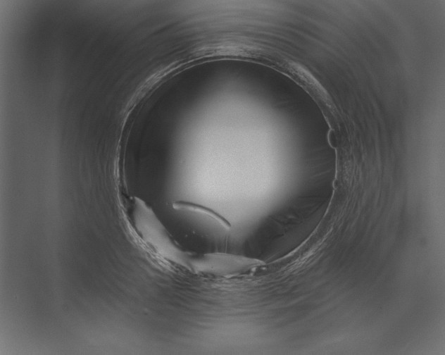 X0000073420938200608181117