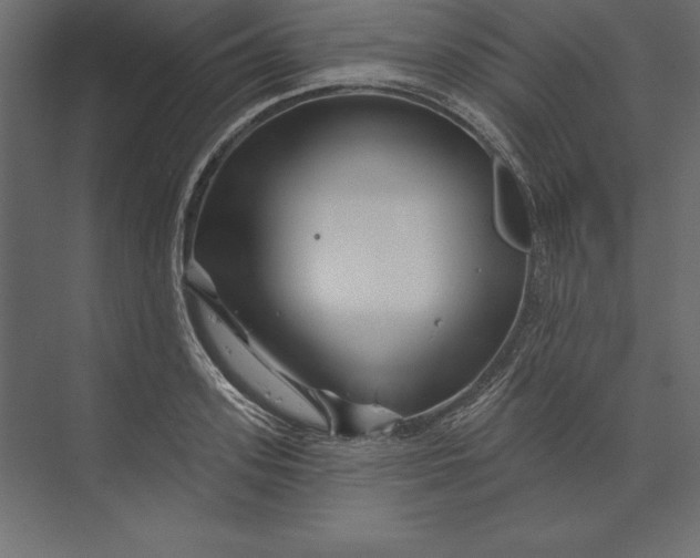 X0000073420939200608181117