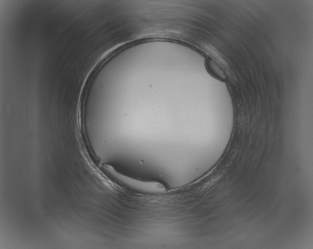 X0000073420940200608181117