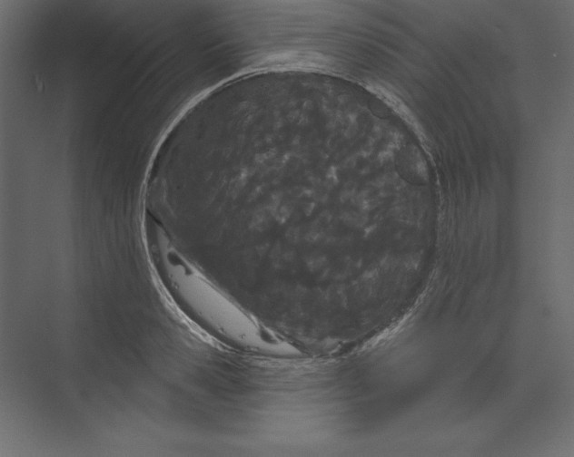 X0000073420941200608181117