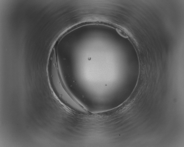 X0000073420943200608181117