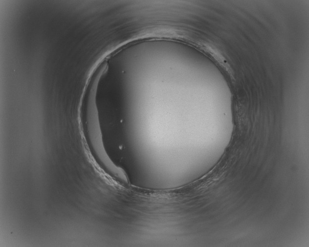 X0000073420944200608181117