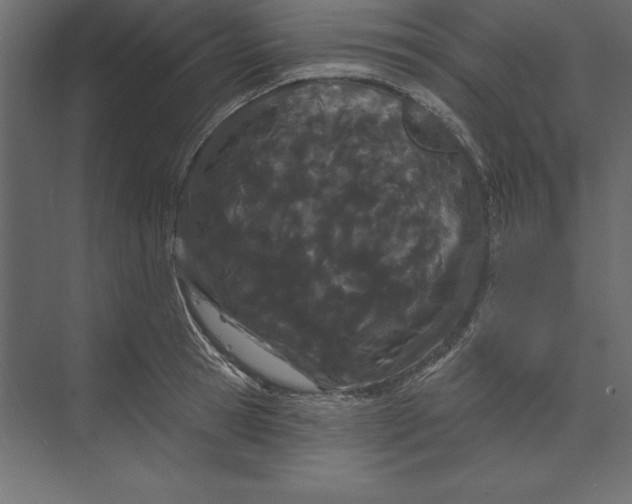 X0000073420945200608181117