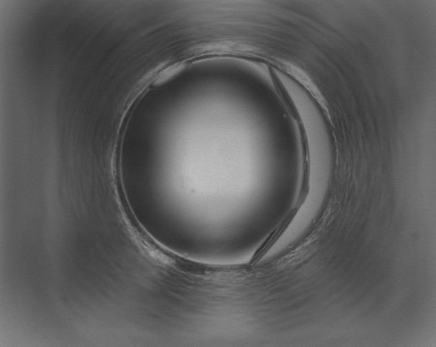 X0000073420946200608181117