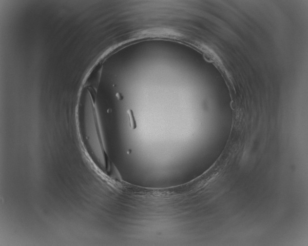 X0000073420947200608181117